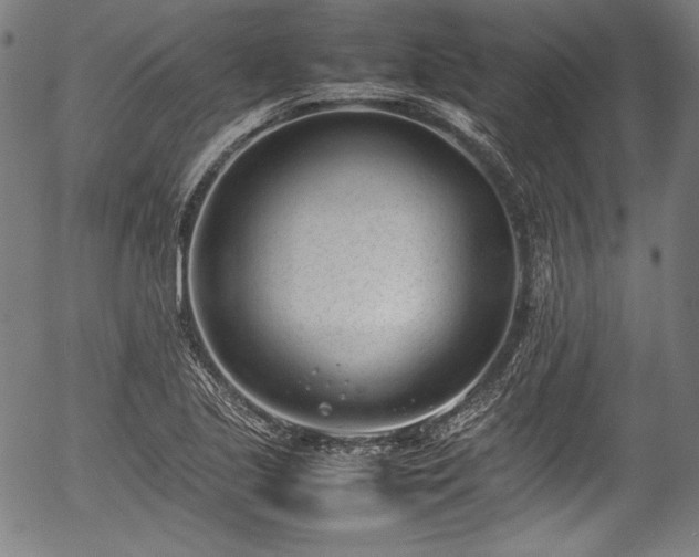 X0000054431221200508011349