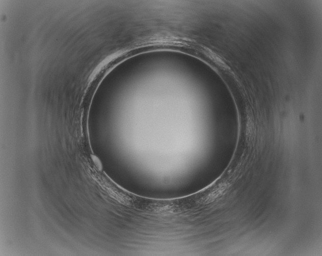 X0000054431222200508011349