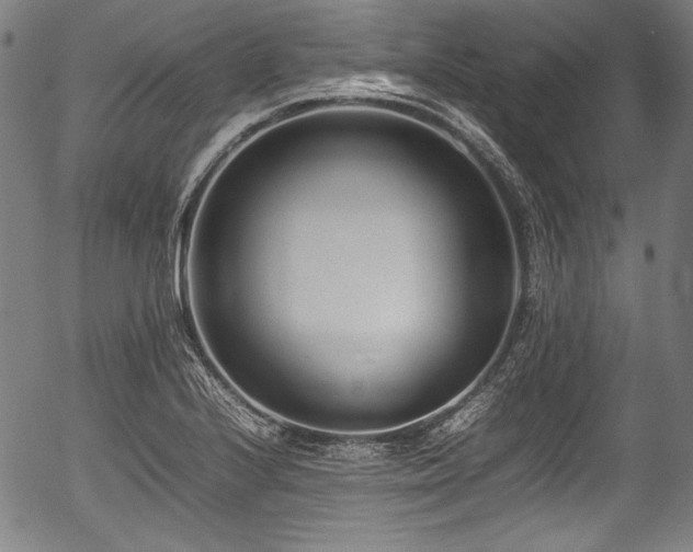 X0000054431224200508011349