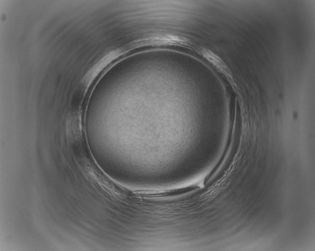 X0000054431226200508011349