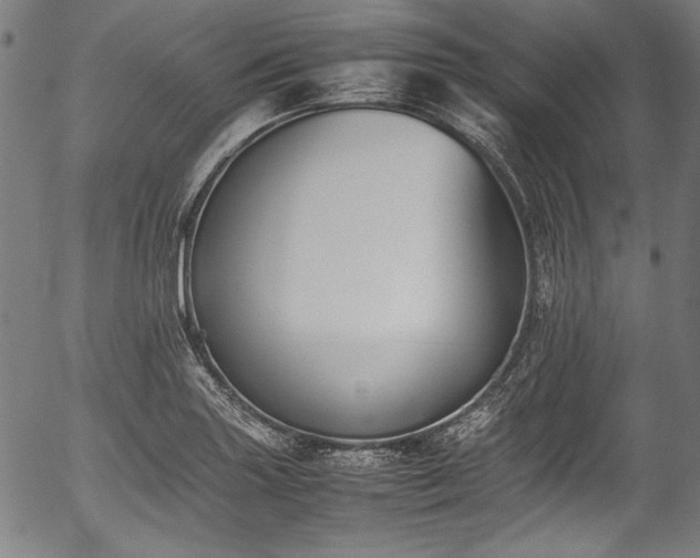 X0000054431227200508011349