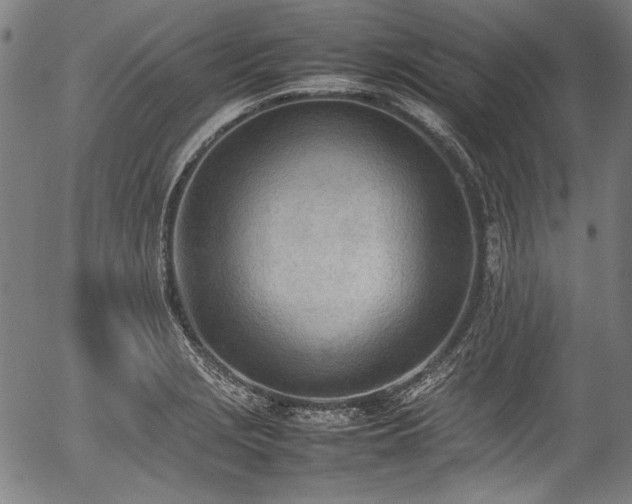 X0000054431229200508011349