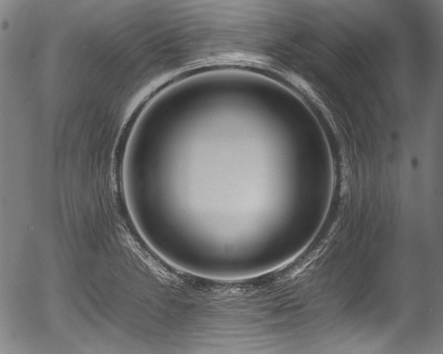 X0000054431230200508011349