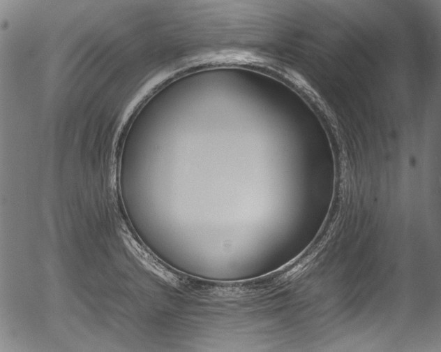 X0000054431232200508011349