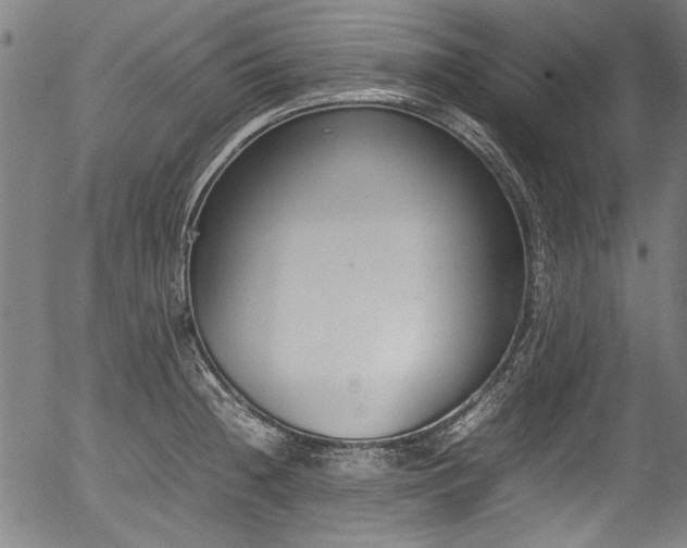 X0000054431236200508011349