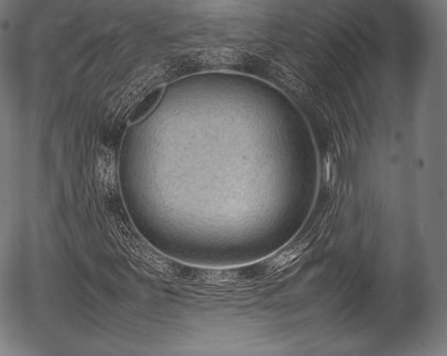 X0000054431251200508011348
