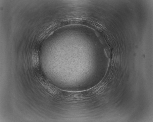 X0000054431252200508011348