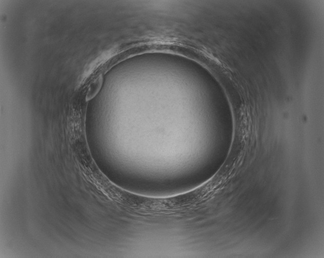 X0000054431255200508011348