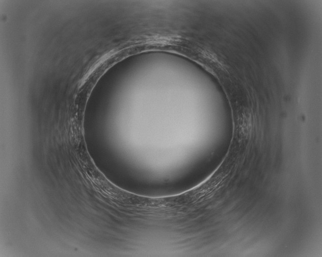 X0000054431256200508011348