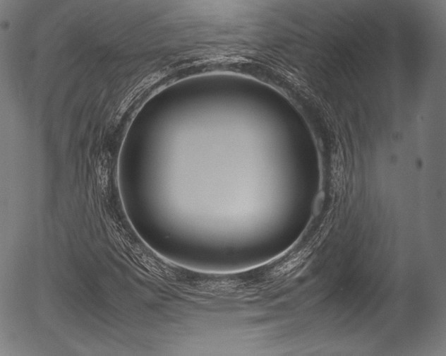 X0000054431257200508011348