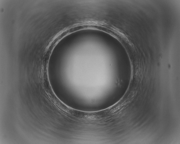 X0000054431264200508011348
