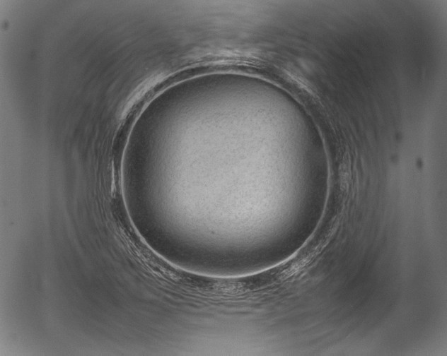 X0000054431267200508011348