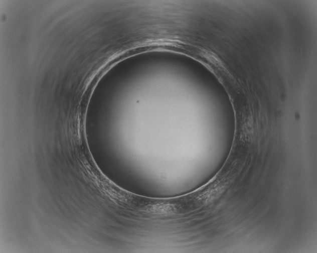 X0000054431268200508011348