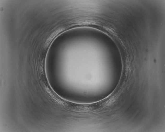 X0000054431273200508011348