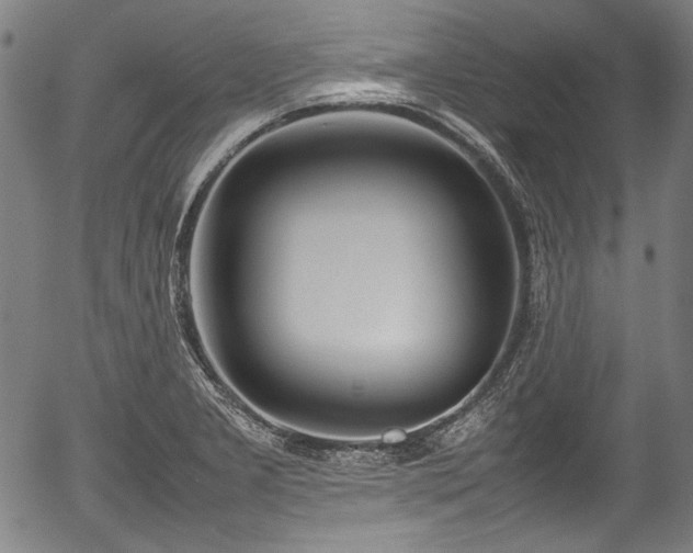 X0000054431277200508011348
