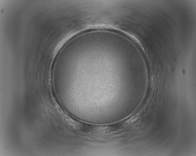X0000054431279200508011348