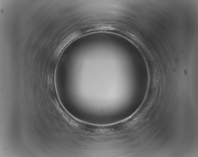 X0000054431281200508011348