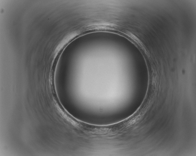 X0000054431285200508011348