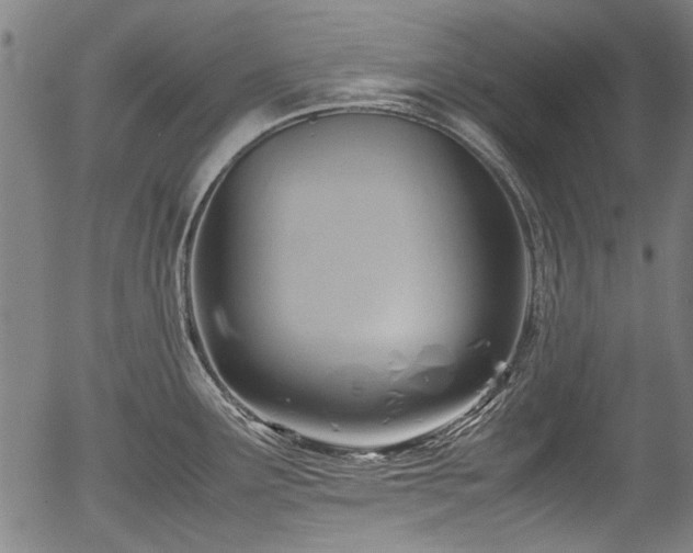 X0000054431291200508011348