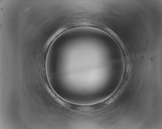 X0000054431293200508011348
