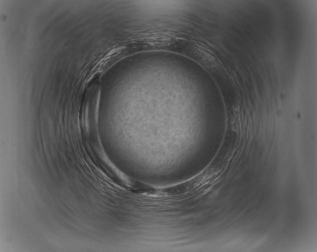 X0000054431298200508011347