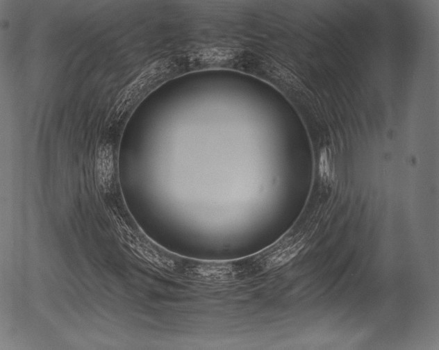 X0000054431299200508011347