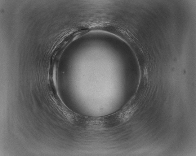 X0000054431300200508011347