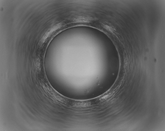 X0000054431307200508011347