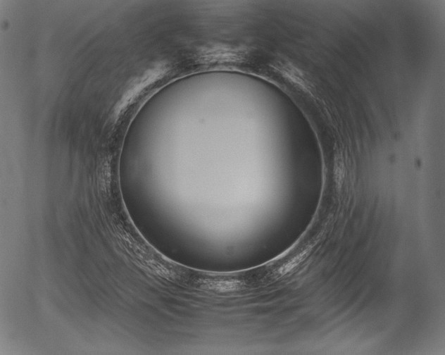 X0000054431309200508011347