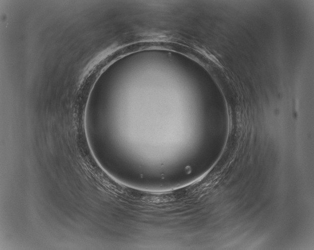 X0000054431311200508011347