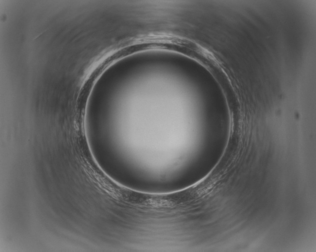 X0000054431312200508011347