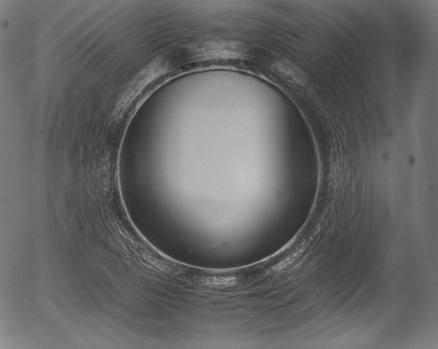 X0000054431313200508011347