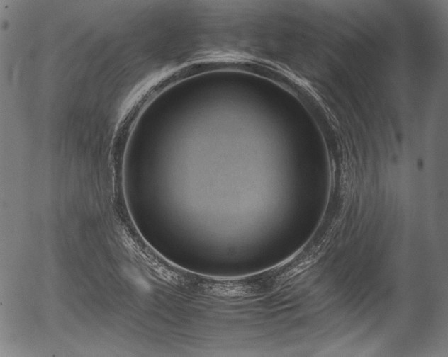 X0000054431319200508011347