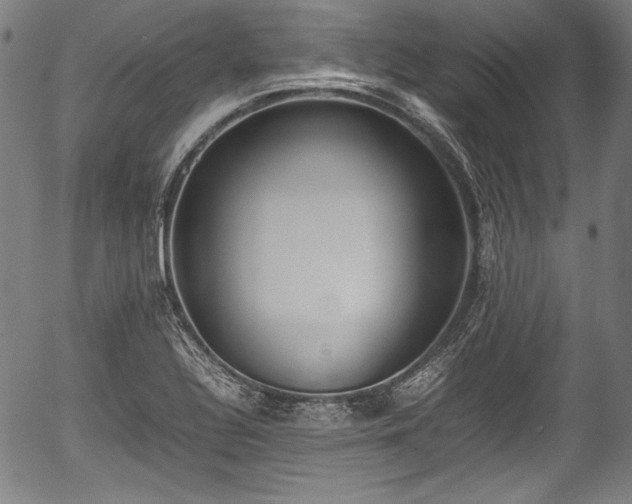 X0000054431320200508011347