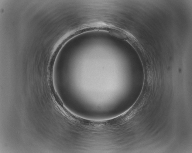 X0000054431326200508011347