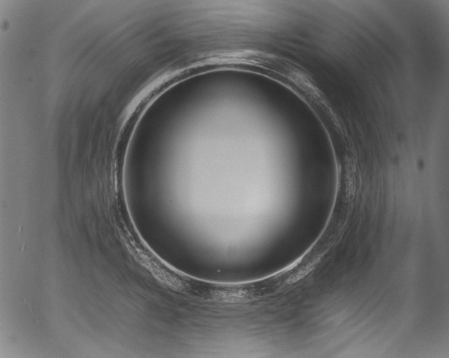 X0000054431328200508011347