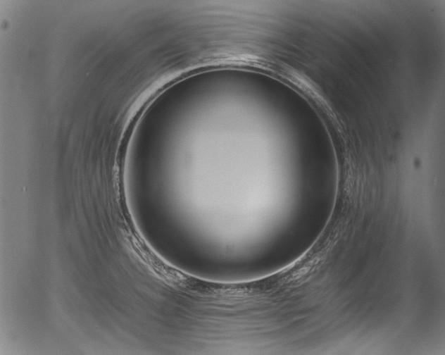 X0000054431332200508011347