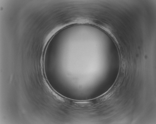 X0000054431343200508011347
