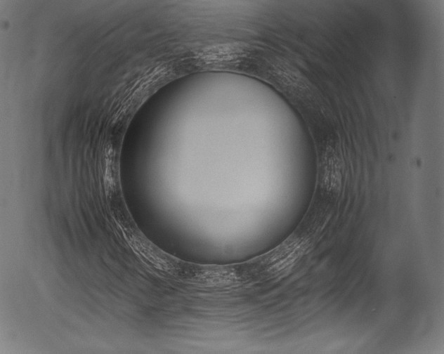 X0000054431346200508011347