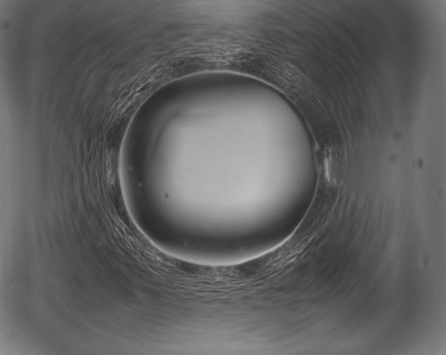 X0000054431347200508011347