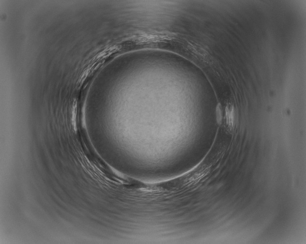 X0000054431348200508011347