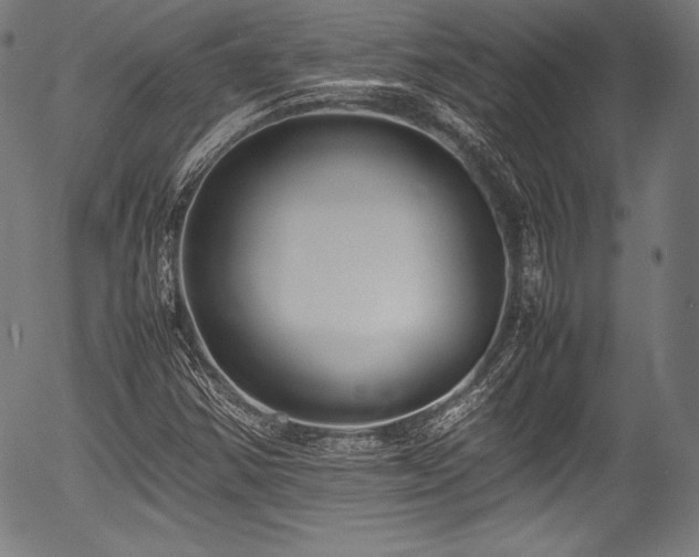 X0000054431354200508011346