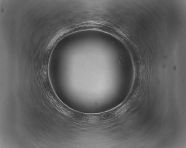 X0000054431355200508011346