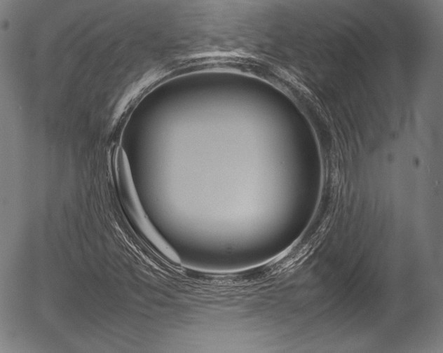 X0000054431357200508011346