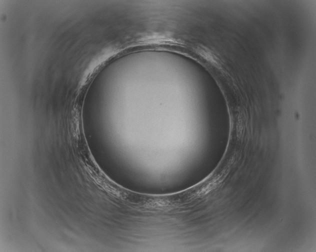 X0000054431358200508011346