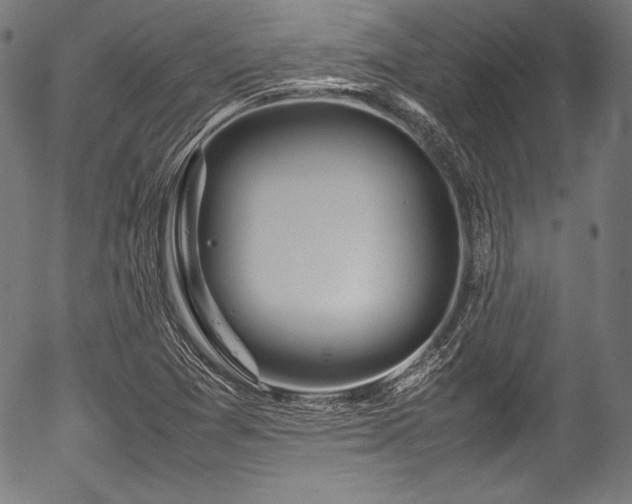 X0000054431361200508011346