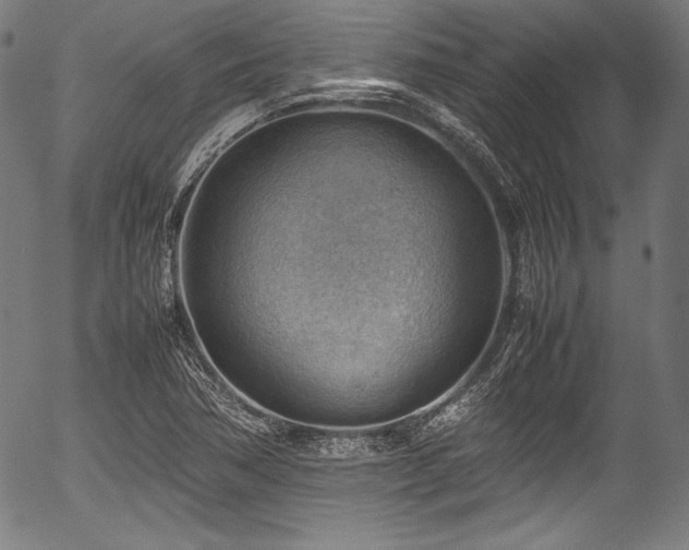 X0000054431362200508011346