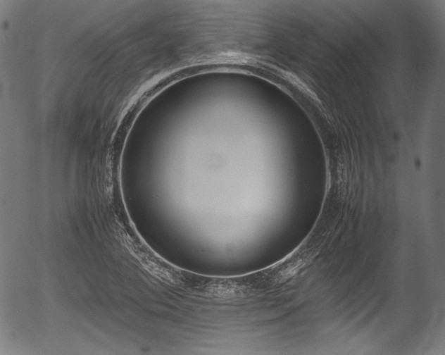 X0000054431364200508011346