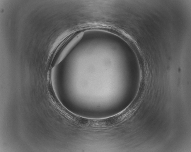 X0000054431365200508011346