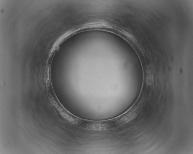 X0000054431366200508011346